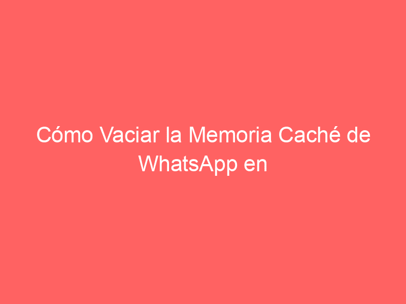 Conos de tránsito, no solo en la carretera.