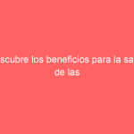 Descubre los beneficios para la salud de las aceitunas: ¡Un superalimento delicioso y nutritivo!