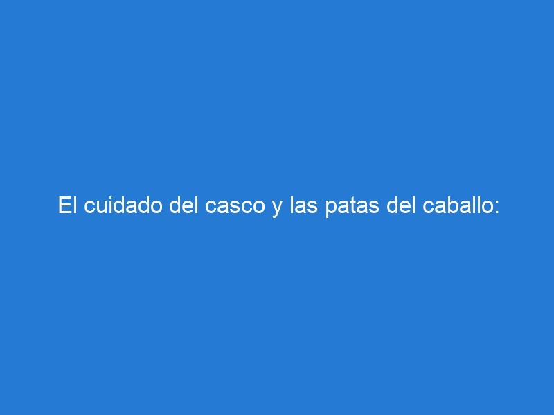 El cuidado del casco y las patas del caballo: garantizando su salud y seguridad en la equitación