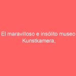 El maravilloso e insólito museo Kunstkamera, Rusia