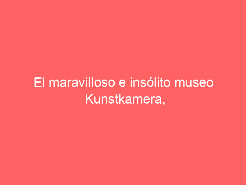 El maravilloso e insólito museo Kunstkamera, Rusia