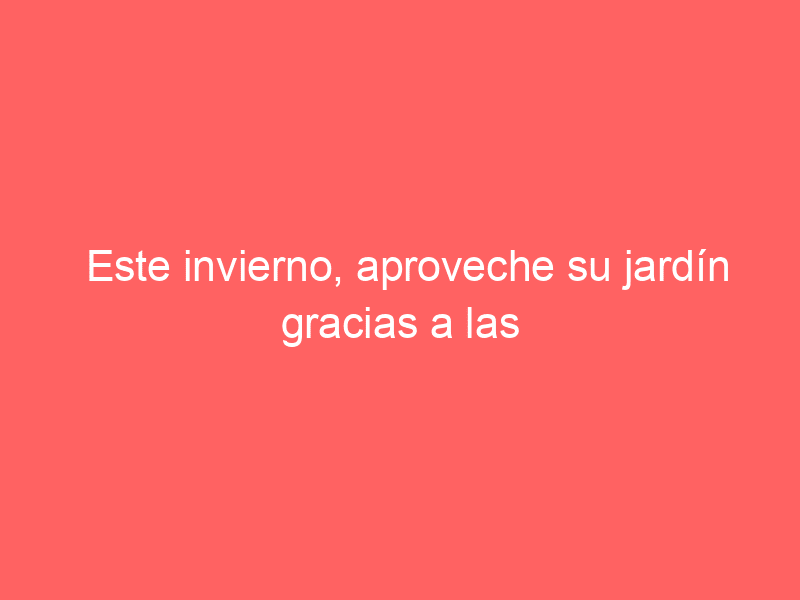 Este invierno, aproveche su jardín gracias a las piscinas