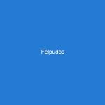 Felpudos