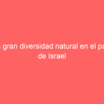 La gran diversidad natural en el país de Israel