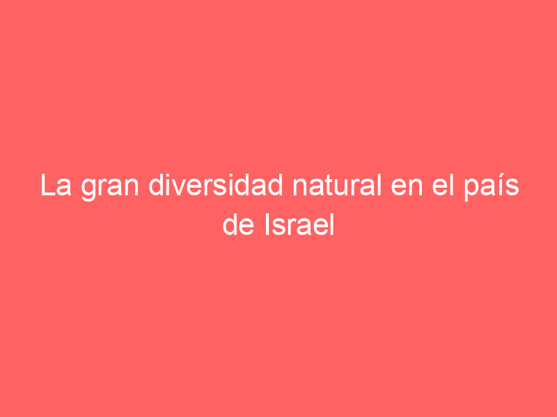 La gran diversidad natural en el país de Israel