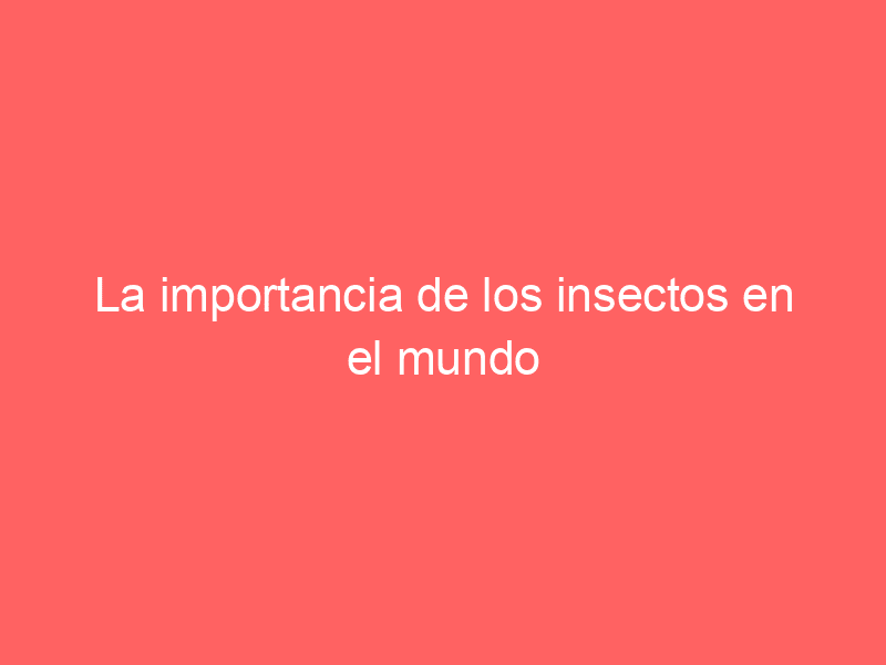 La importancia de los insectos en el mundo