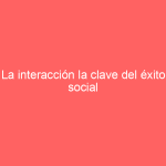 La interacción la clave del éxito social