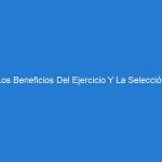 Los Beneficios Del Ejercicio Y La Selección Adecuada De Equipos De Fitness