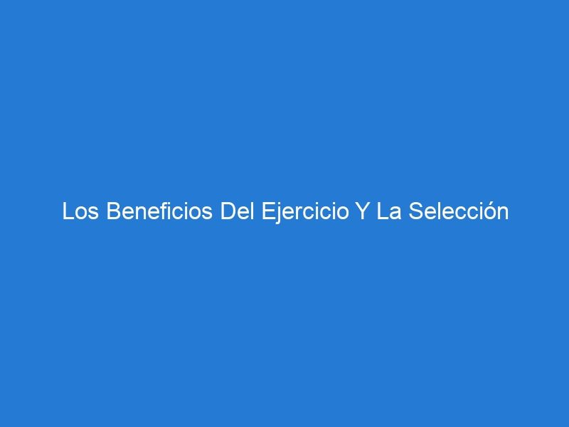 Los Beneficios Del Ejercicio Y La Selección Adecuada De Equipos De Fitness