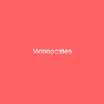 Monopostes