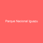 Alquiler de maquinaria de construcción y obra: optimizando la eficiencia en tu proyecto