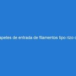 Tapetes de entrada de filamentos tipo rizo de PVC: resistencia y desempeño en cualquier entorno