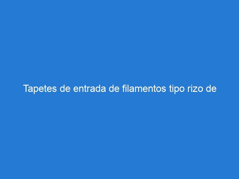 Tapetes de entrada de filamentos tipo rizo de PVC: resistencia y desempeño en cualquier entorno