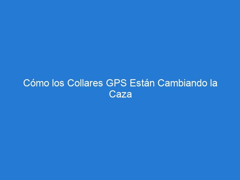 Cómo los Collares GPS Están Cambiando la Caza con Perros en el Siglo XXI