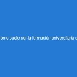 Cómo suele ser la formación universitaria en una universidad privada