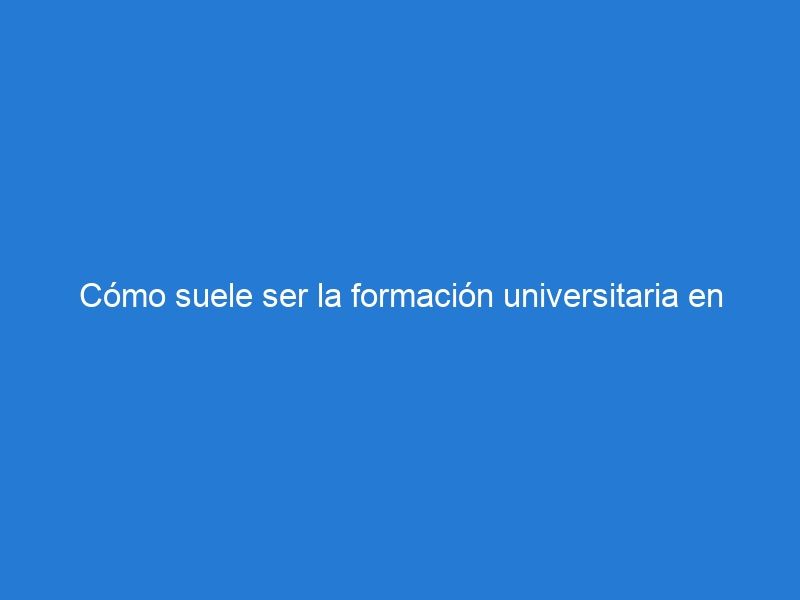 Cómo suele ser la formación universitaria en una universidad privada