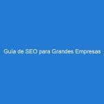 Guía de SEO para Grandes Empresas