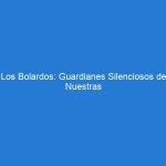 Los Bolardos: Guardianes Silenciosos de Nuestras Vías