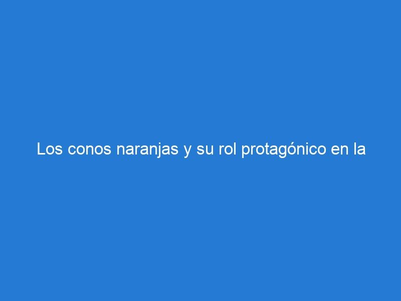 Los conos naranjas y su rol protagónico en la señalización preventiva