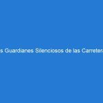 Los Guardianes Silenciosos de las Carreteras: Descubriendo el Papel Crucial de los Conos Naranjas