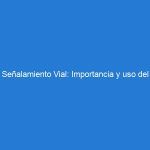 Señalamiento Vial: Importancia y uso del pavimento podotáctil en los trenes y metros