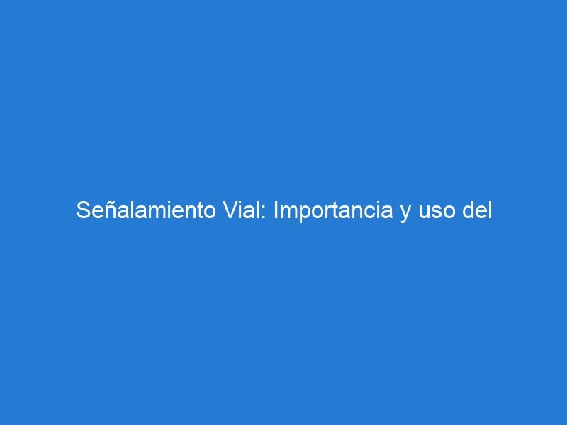 Señalamiento Vial: Importancia y uso del pavimento podotáctil en los trenes y metros